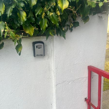 Entire Farmhouse In Tipperary Nenagh Exterior photo